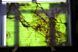 ONYX LIGHT GREEN 7023 фото 2