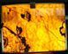 ONYX Orange Extra 7030 фото 1