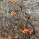 Онікс FANTASTICO Fire  9020 фото 1